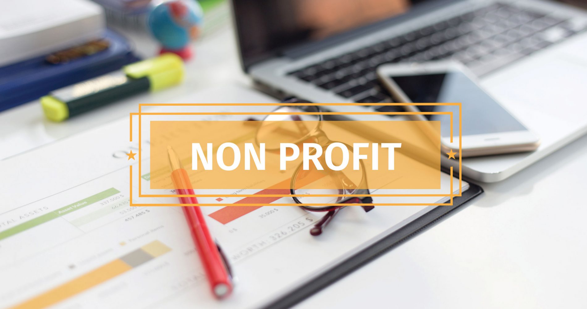 BUSINESS CONCEPT: NON PROFIT